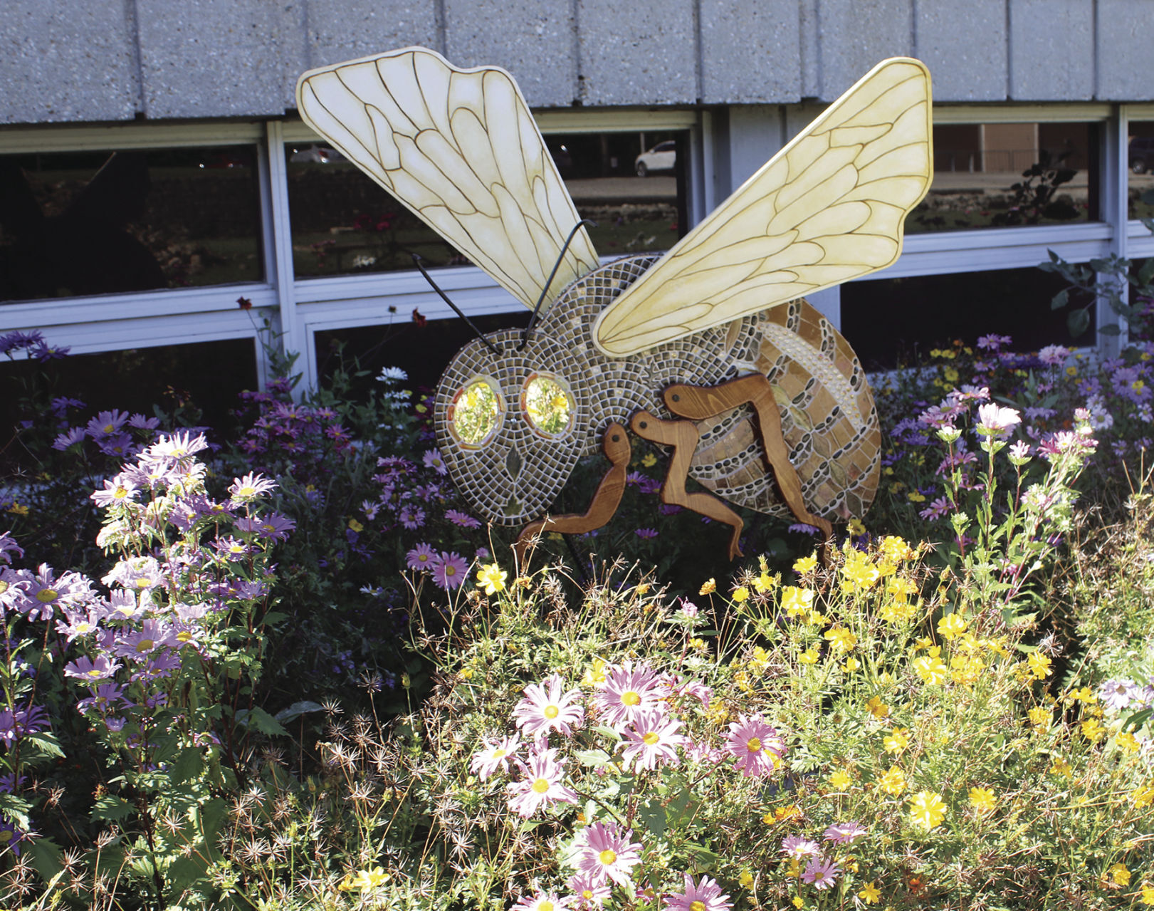 What's the buzz?